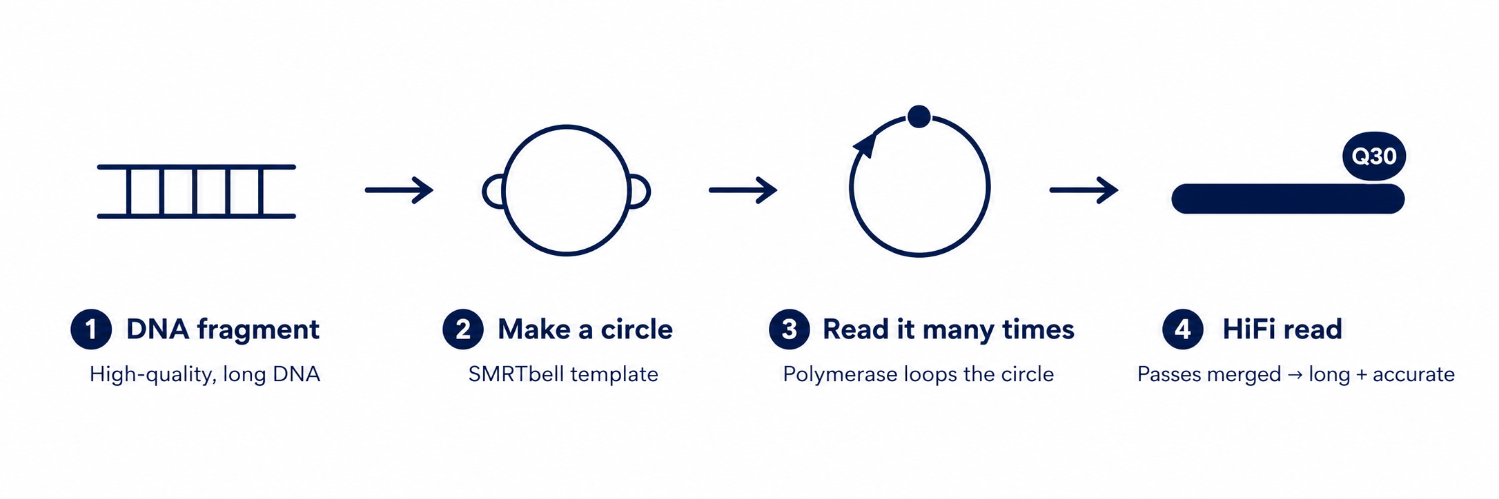KodaSeq HiFi sequencing workflow