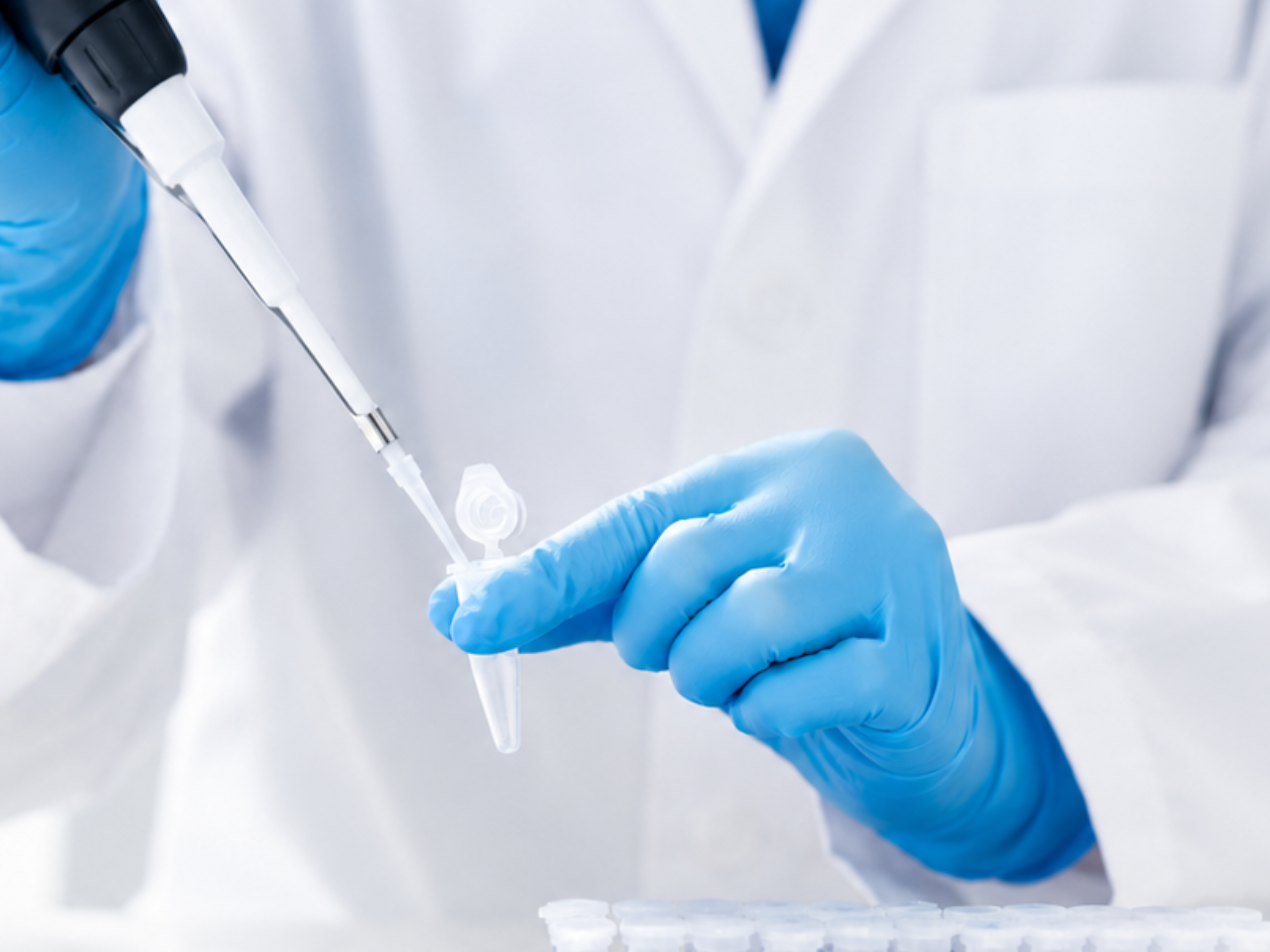 KreatBio laboratory workflow