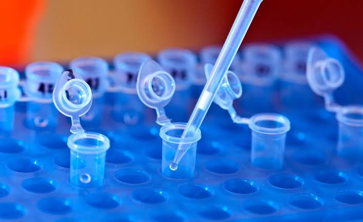 DNA extraction service