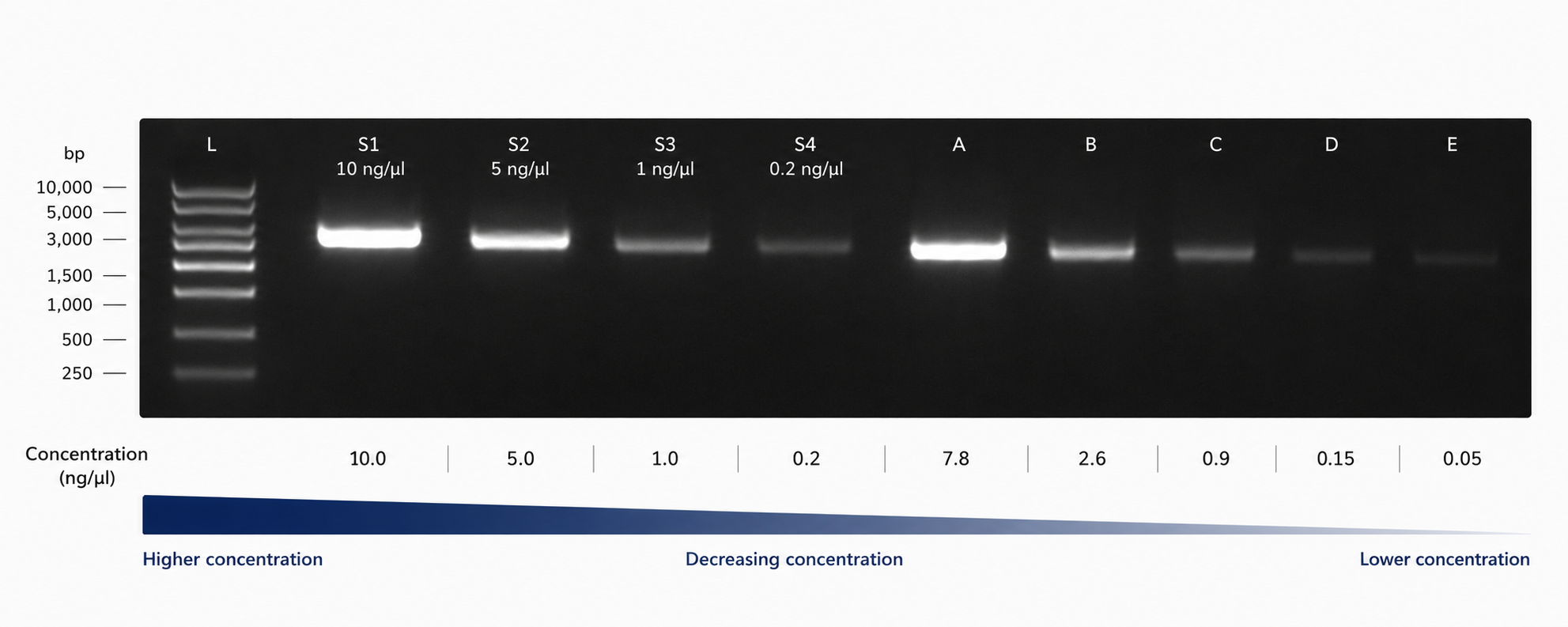 DNA quantification additional workflow