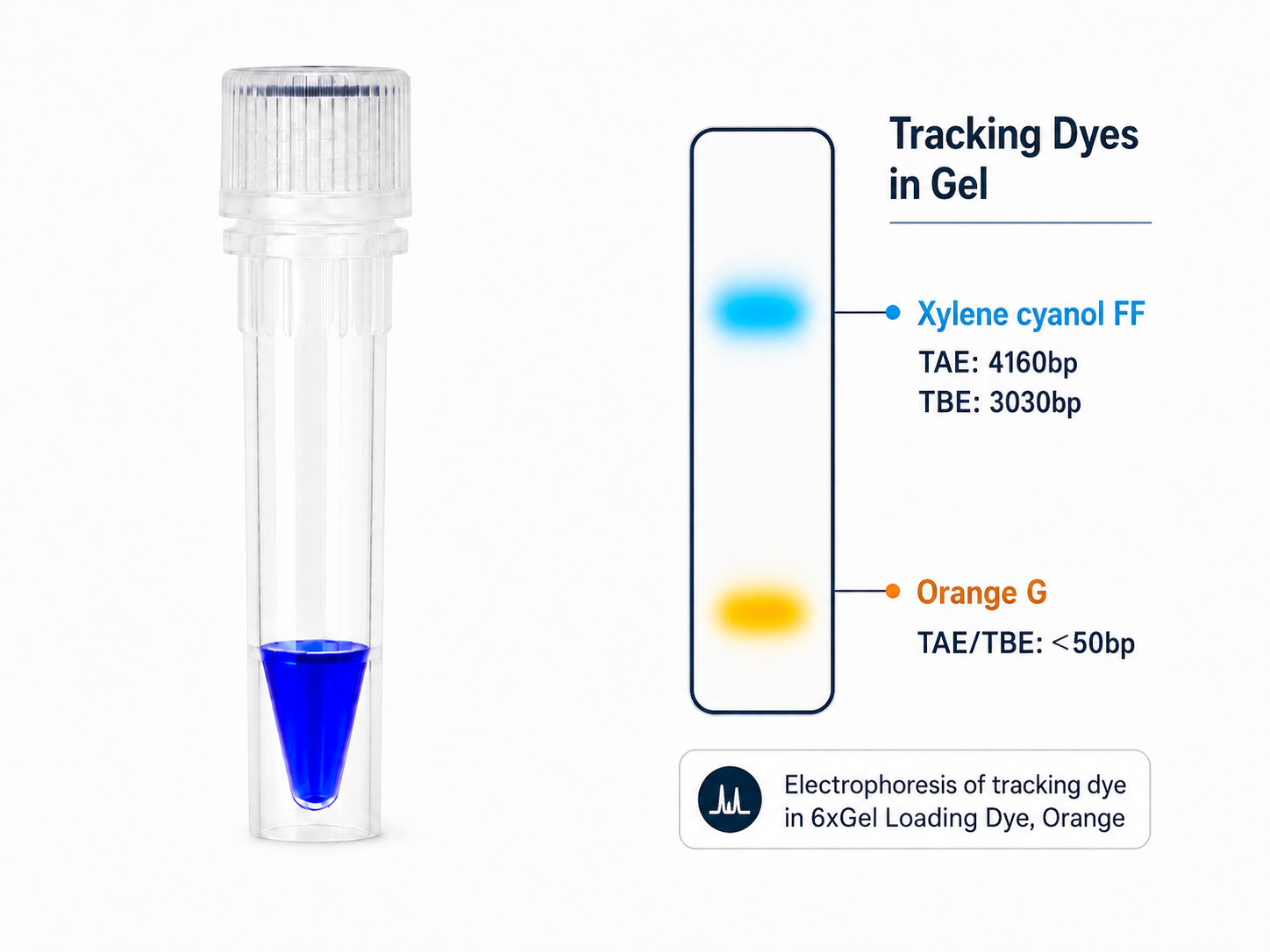 Tricolor gel loading dye